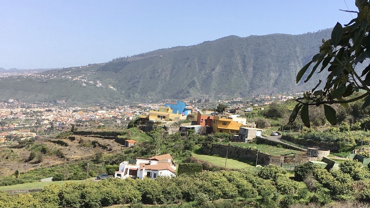 Photo of Outdoor in La Orotava