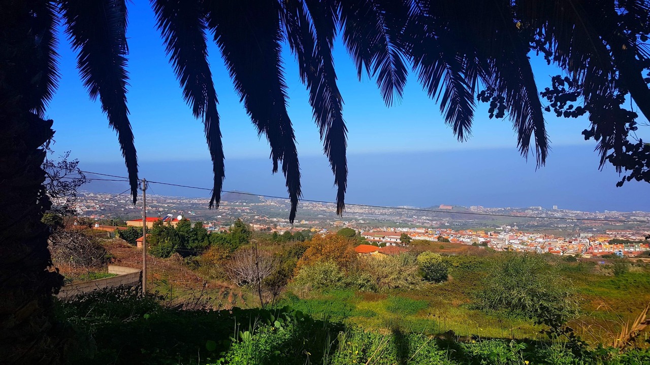 Photo of Outdoor in La Orotava
