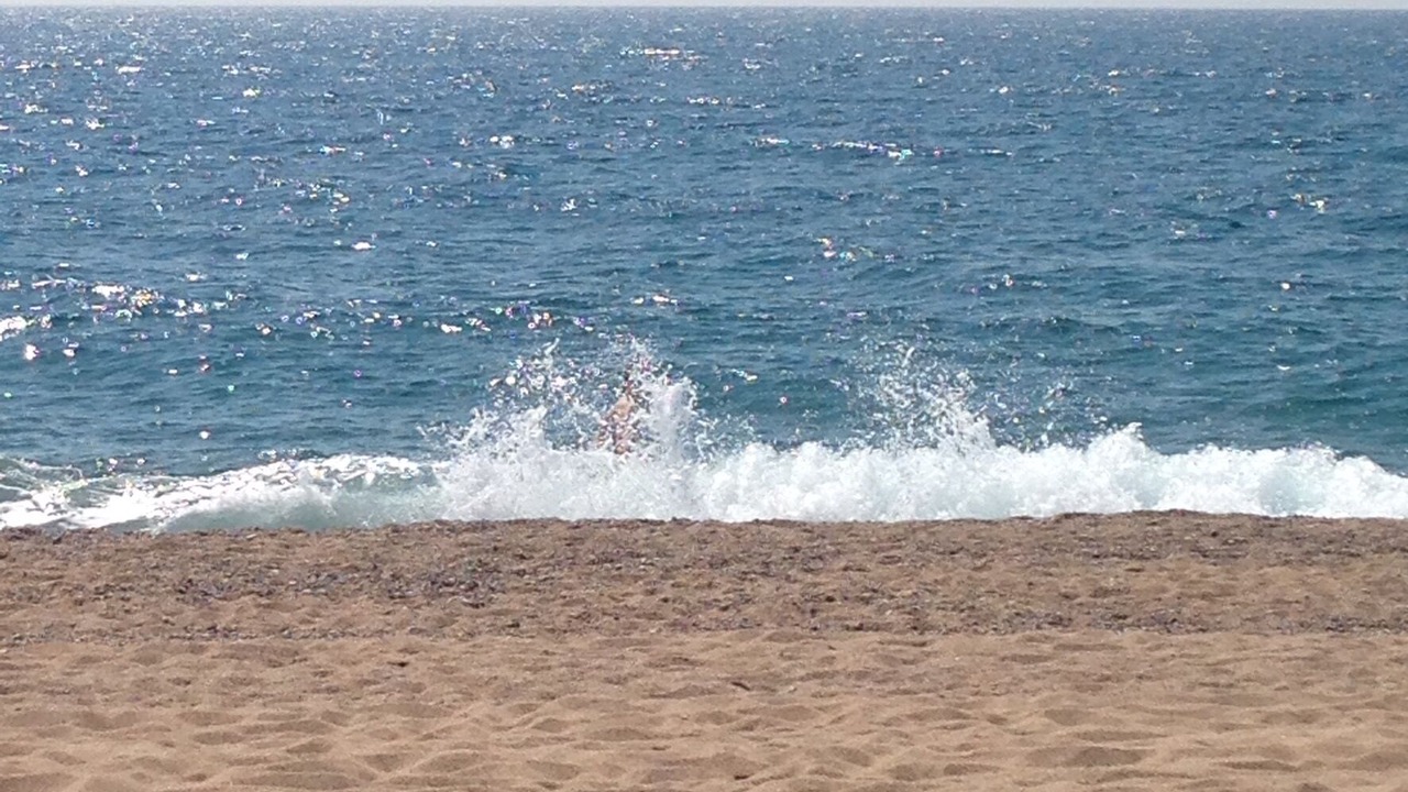 Photo of Others in Pineda de Mar