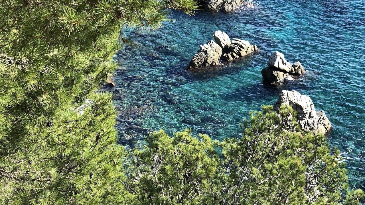 Photo of Others in Pineda de Mar