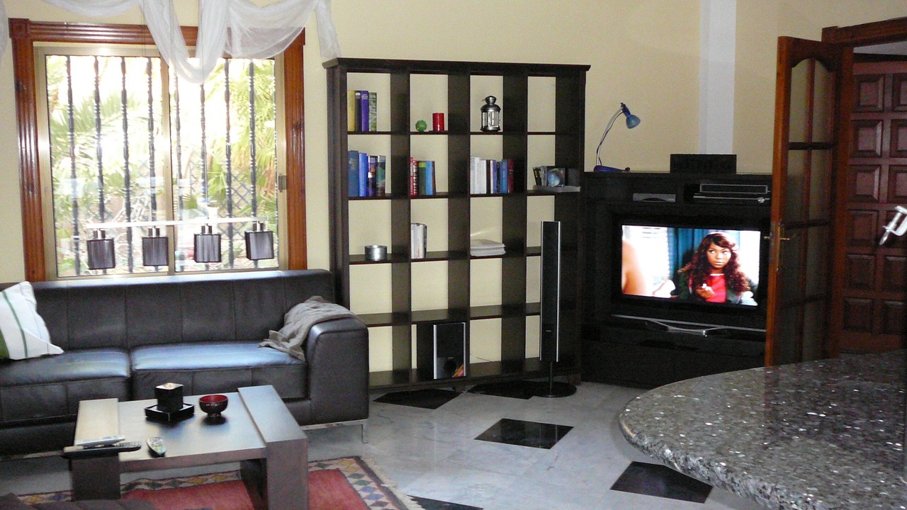 Photo of Livingroom in San Isidro