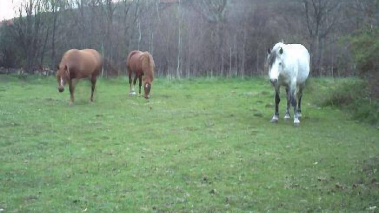 Photo of Outdoor in Branuelas