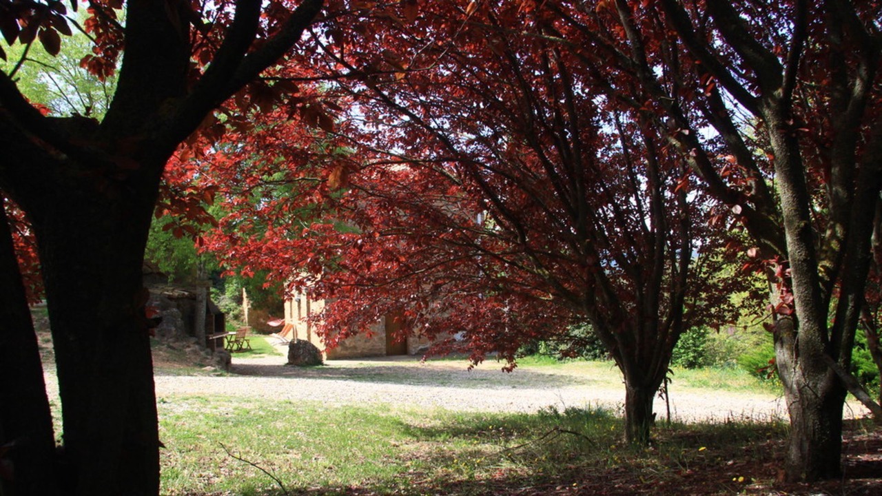 Photo of Outdoor in La Baronia de Rialb