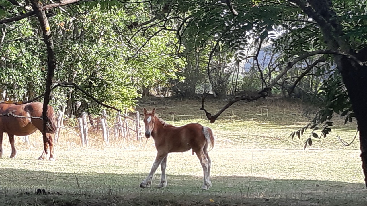 Photo of Outdoor in La Pernia