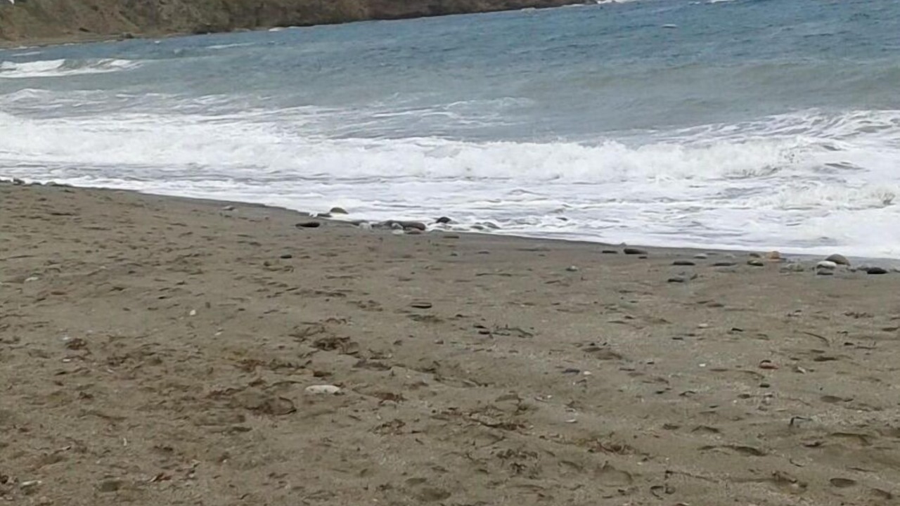 Photo of Others in Carboneras
