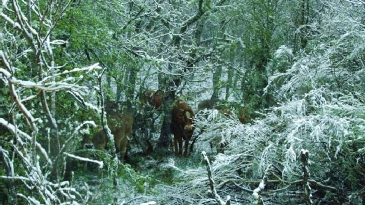 Photo of Outdoor in San Salvador de Cantamuda