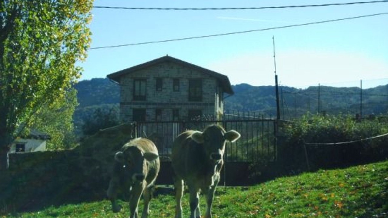 Photo of Outdoor in San Salvador de Cantamuda