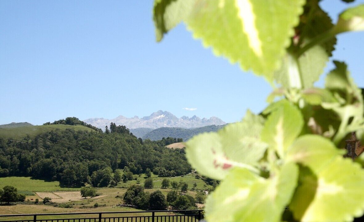 Photo of Outdoor in Narciandi