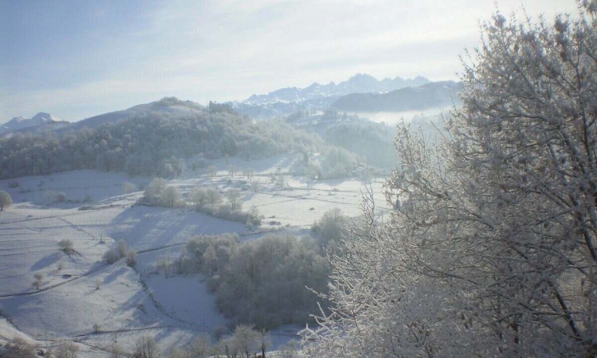 Photo of Others in Narciandi