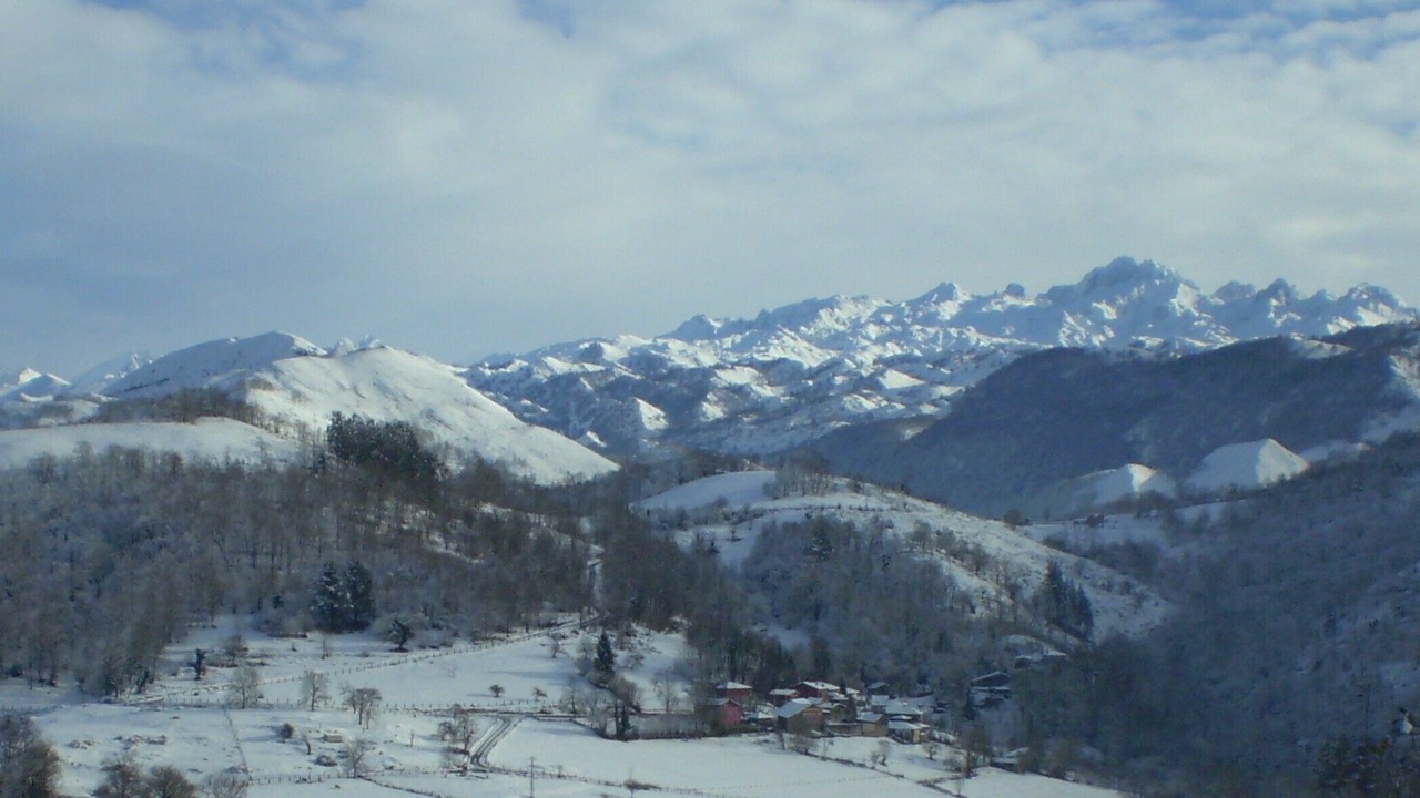 Photo of Others in Narciandi