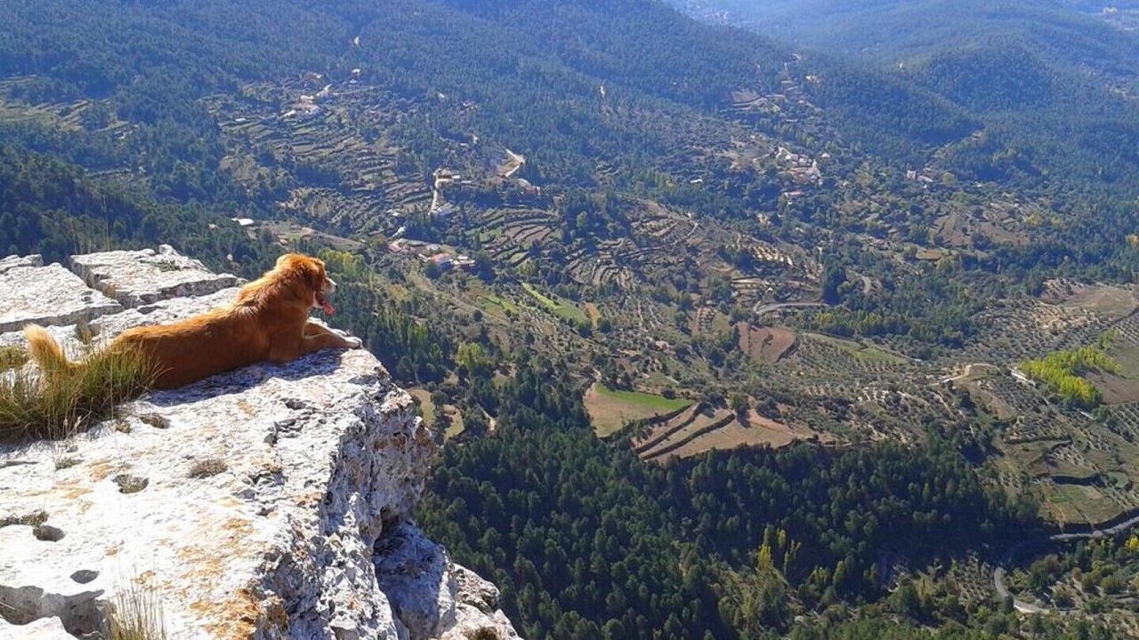 Photo of Others in Majada Carrasca