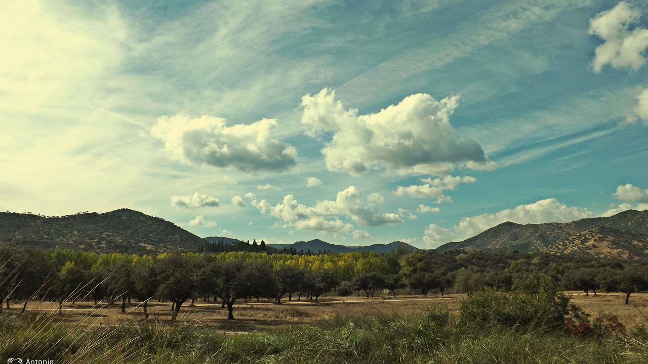 Photo of Others in Andujar