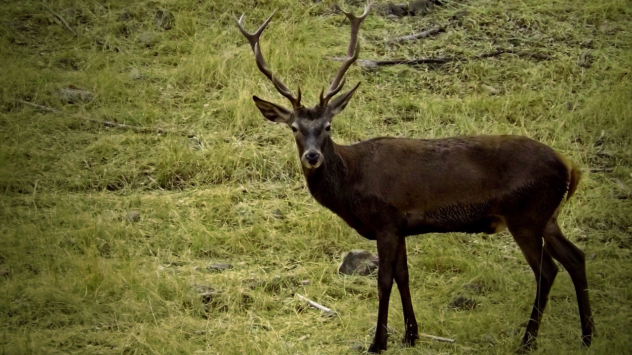 Photo of Others in Andujar