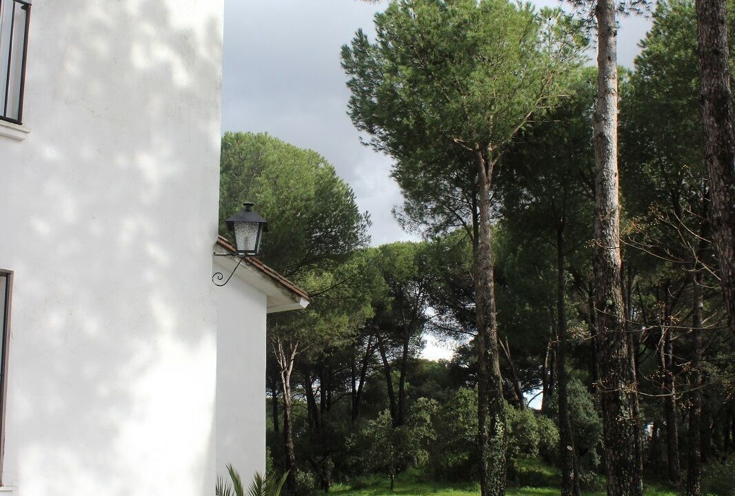 Photo of Outdoor in Andujar