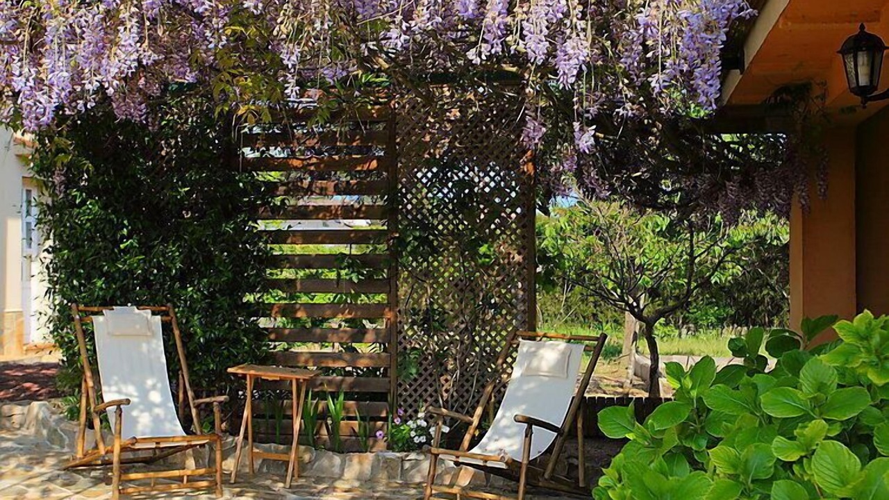 Photo of Outdoor in La Goba