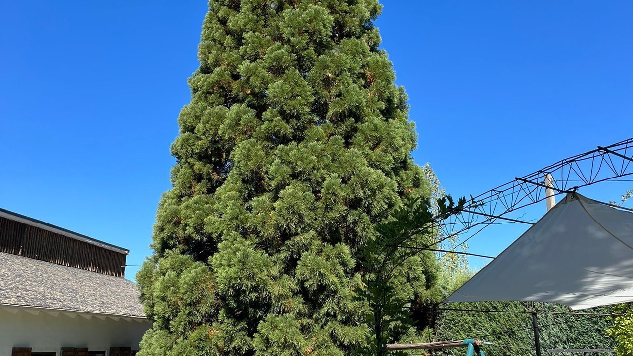 Photo of Outdoor in Ortigosa del Monte