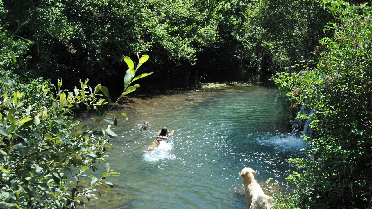 Photo of Others in Reocin de los Molinos