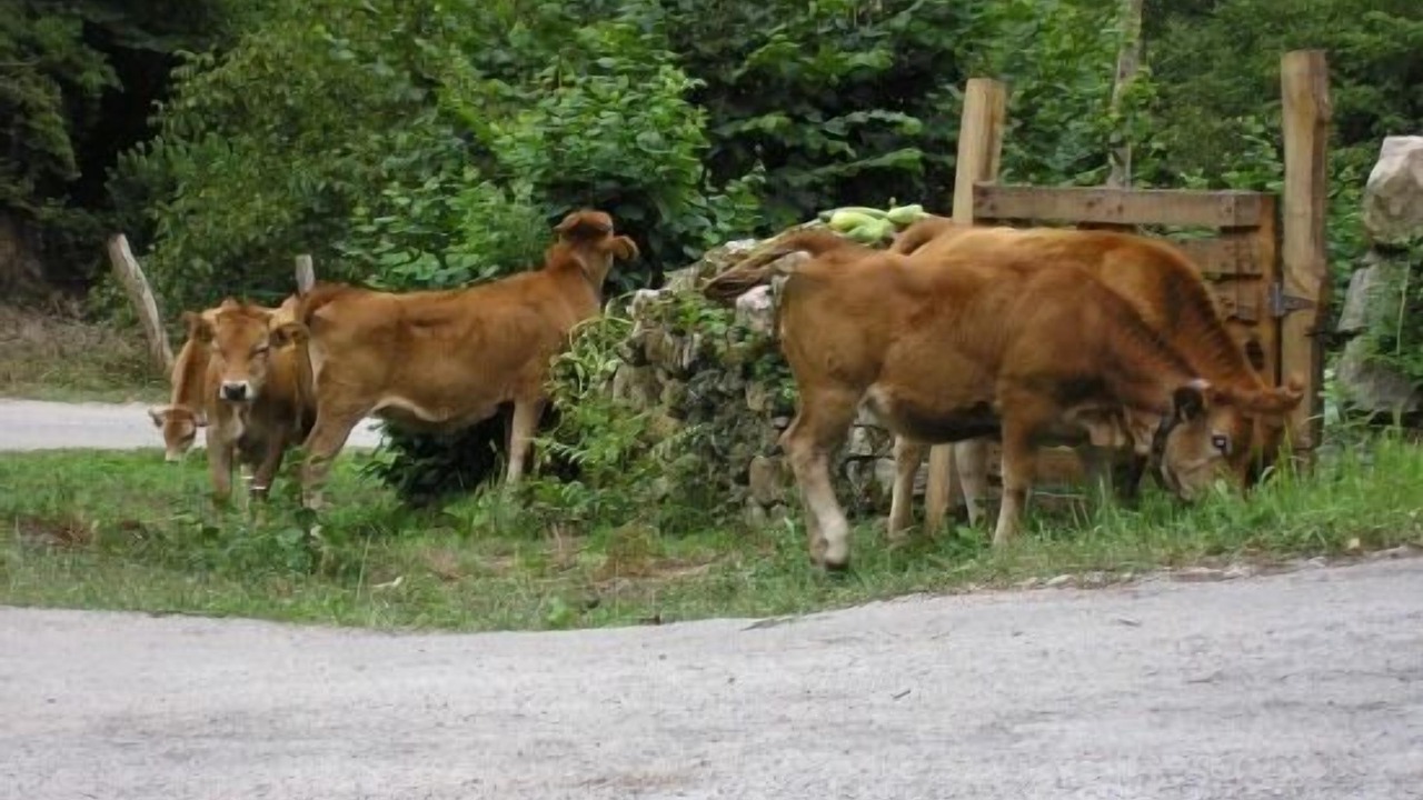 Photo of Outdoor in Llonin