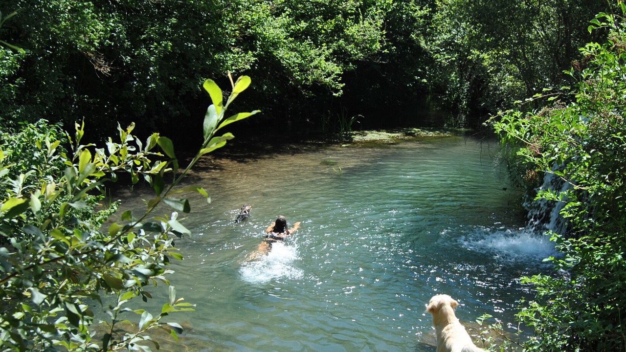 Photo of Outdoor in Reocin de los Molinos