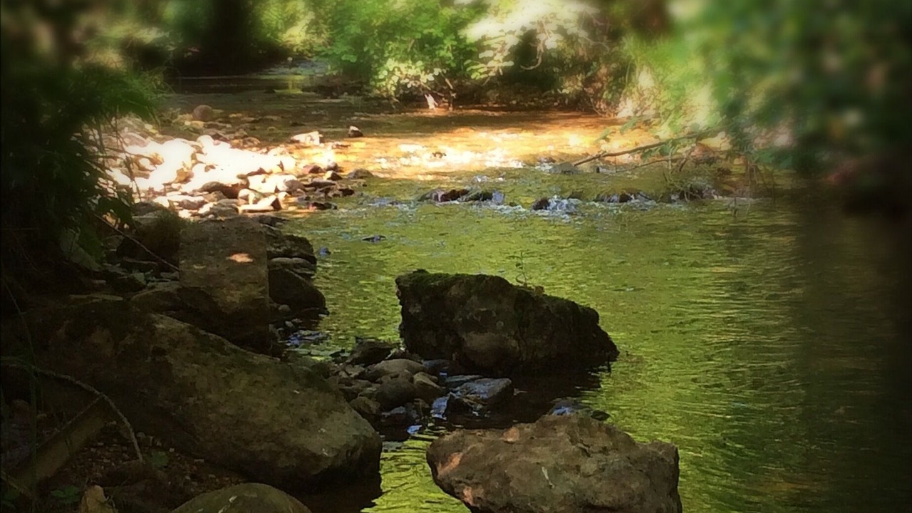 Photo of Others in Soto de las Duenas