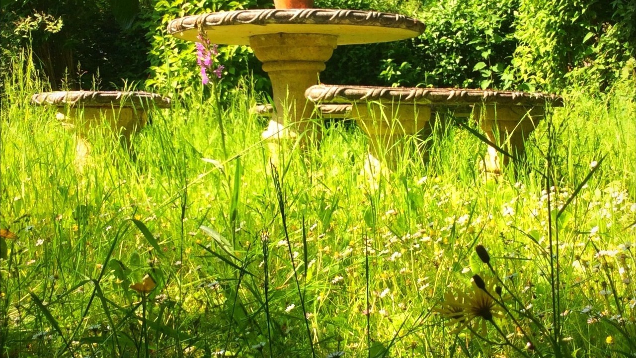 Photo of Outdoor in Soto de las Duenas
