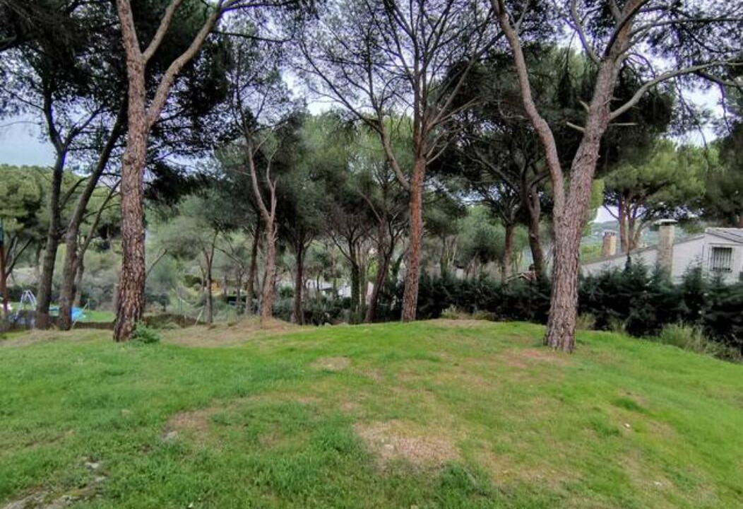 Photo of Outdoor in San Martin de Valdeiglesias