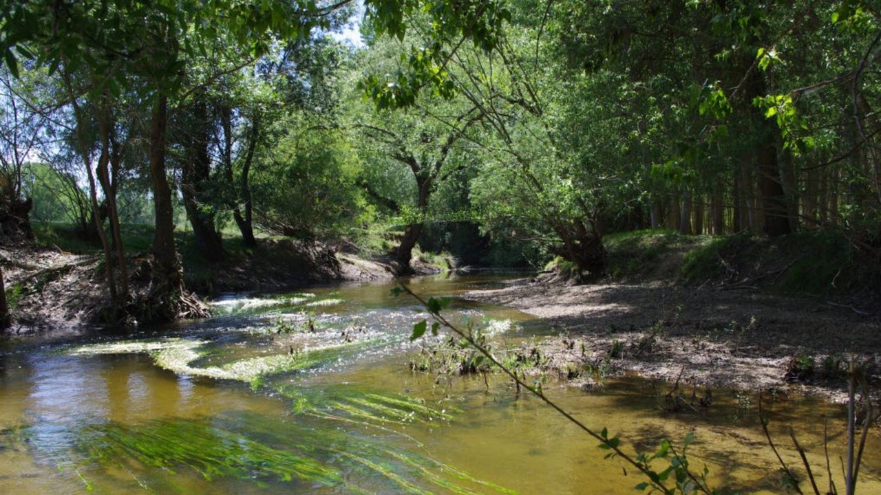 Photo of Outdoor in Munoveros