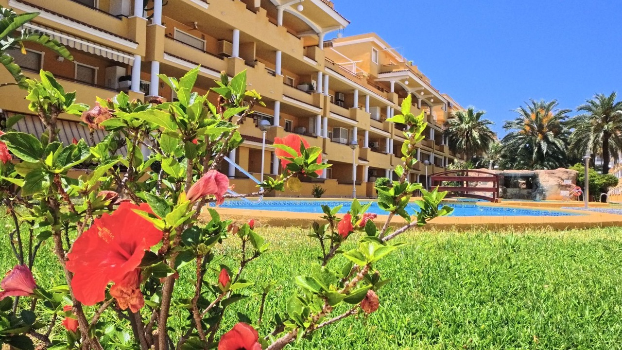 Photo of Others in Denia