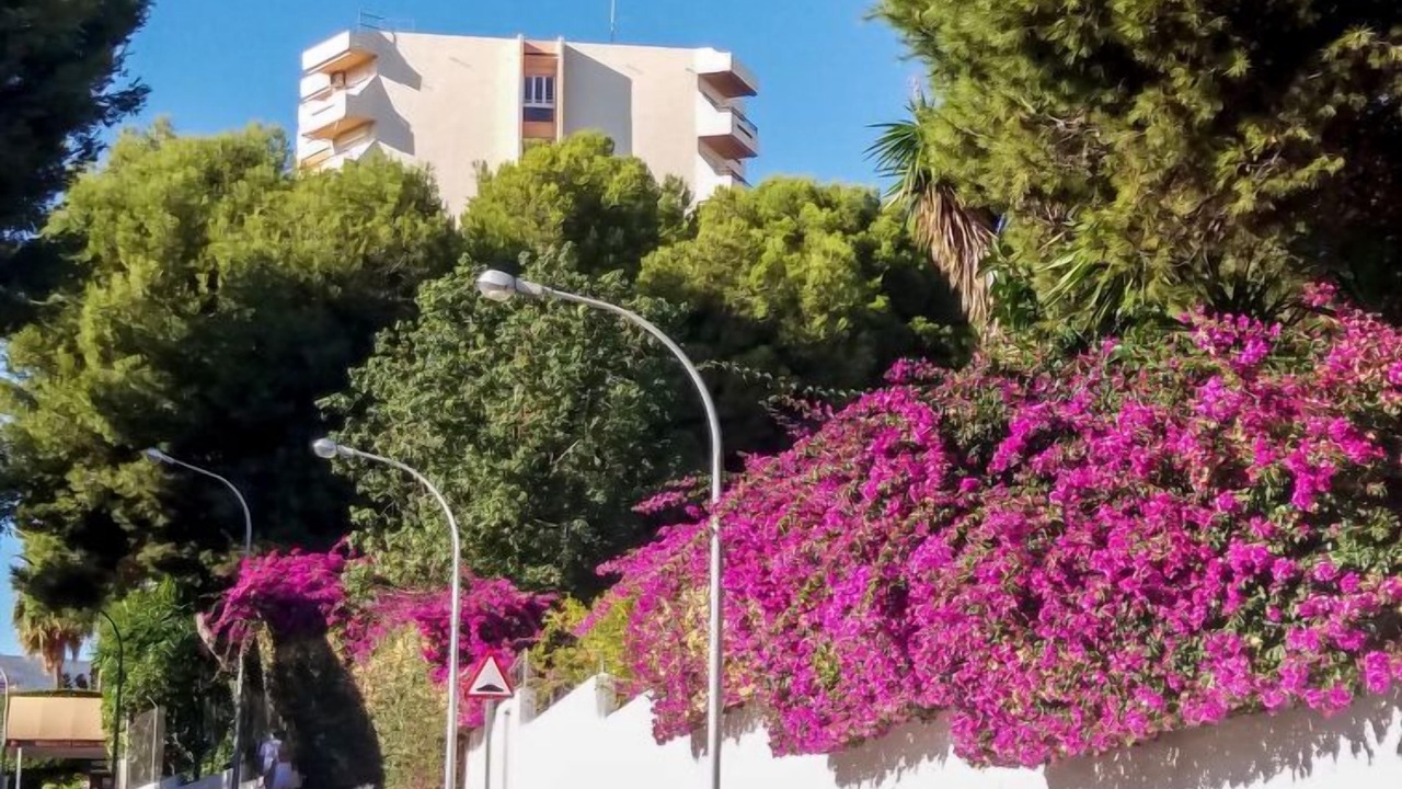 Photo of Others in Carihuela