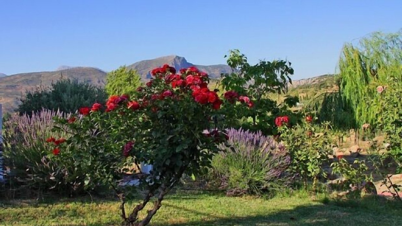 Photo of Outdoor in Arbuniel