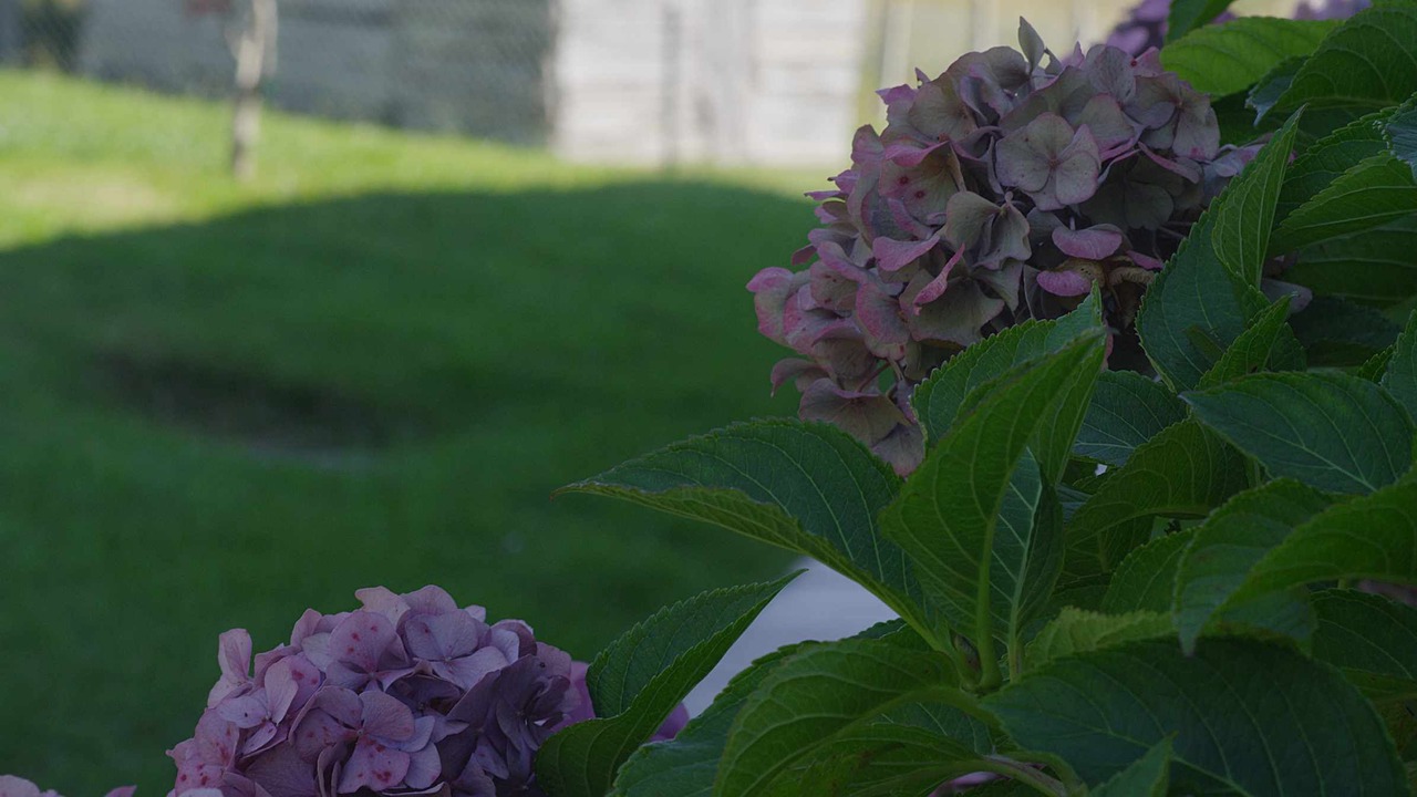 Photo of Outdoor in Lloreda