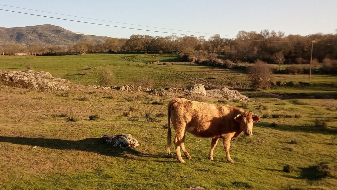 Photo of Outdoor in Torrecaballeros