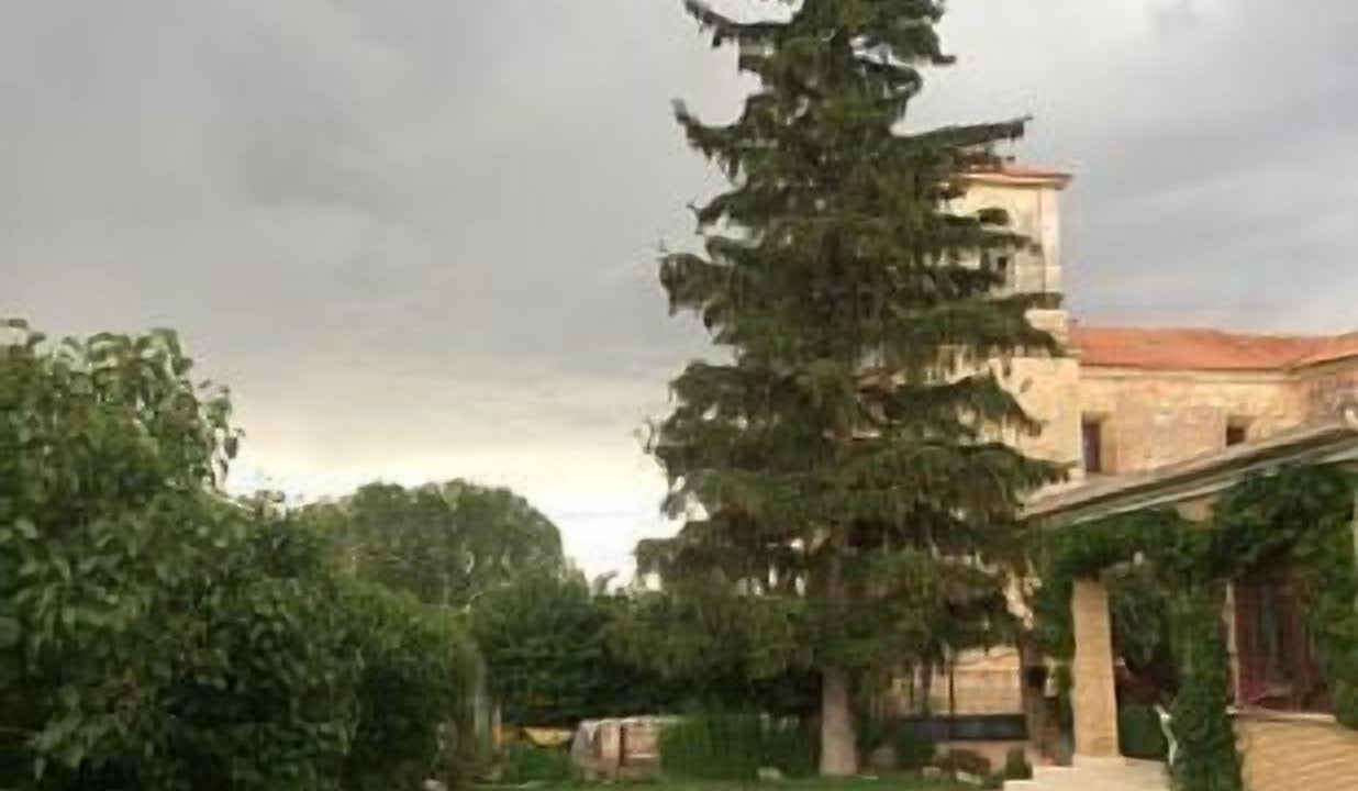 Photo of Outdoor in Santibanez del Val