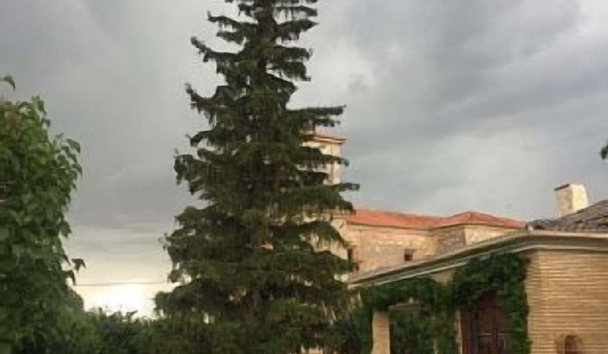 Photo of Outdoor in Santibanez del Val