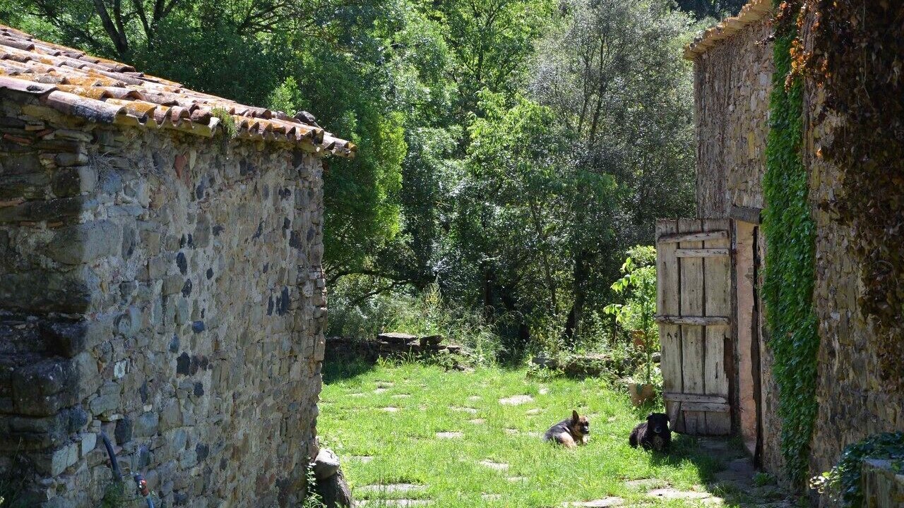 Photo of Outdoor in Sant Miquel de Campmajor