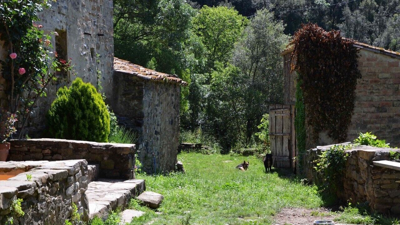 Photo of Outdoor in Sant Miquel de Campmajor