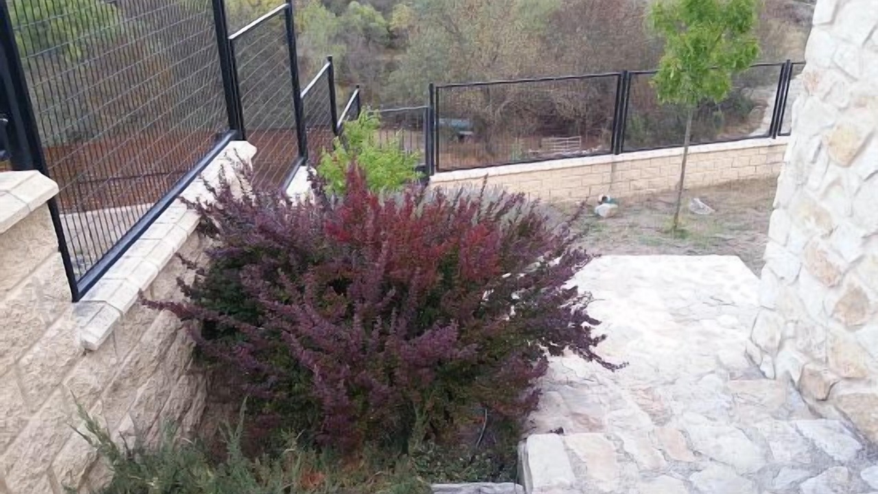 Photo of Outdoor in La Salceda