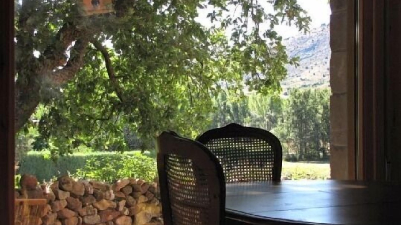 Photo of Outdoor in Ocenilla