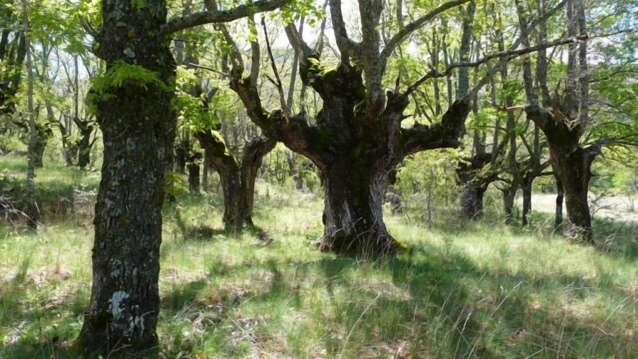 Photo of Outdoor in Ocenilla