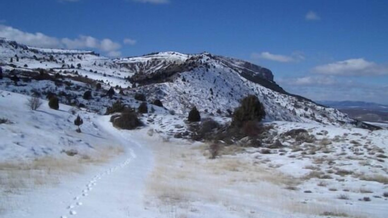 Photo of Outdoor in Ocenilla