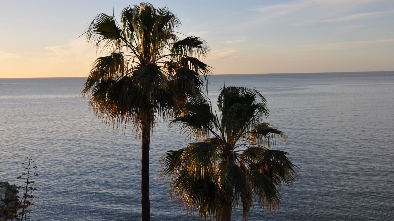 Photo of Others in Carihuela