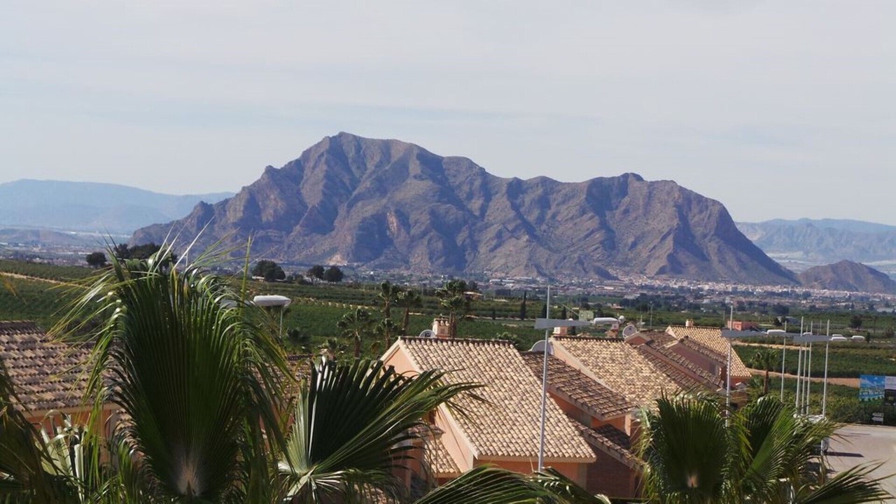 Photo of Others in Algorfa