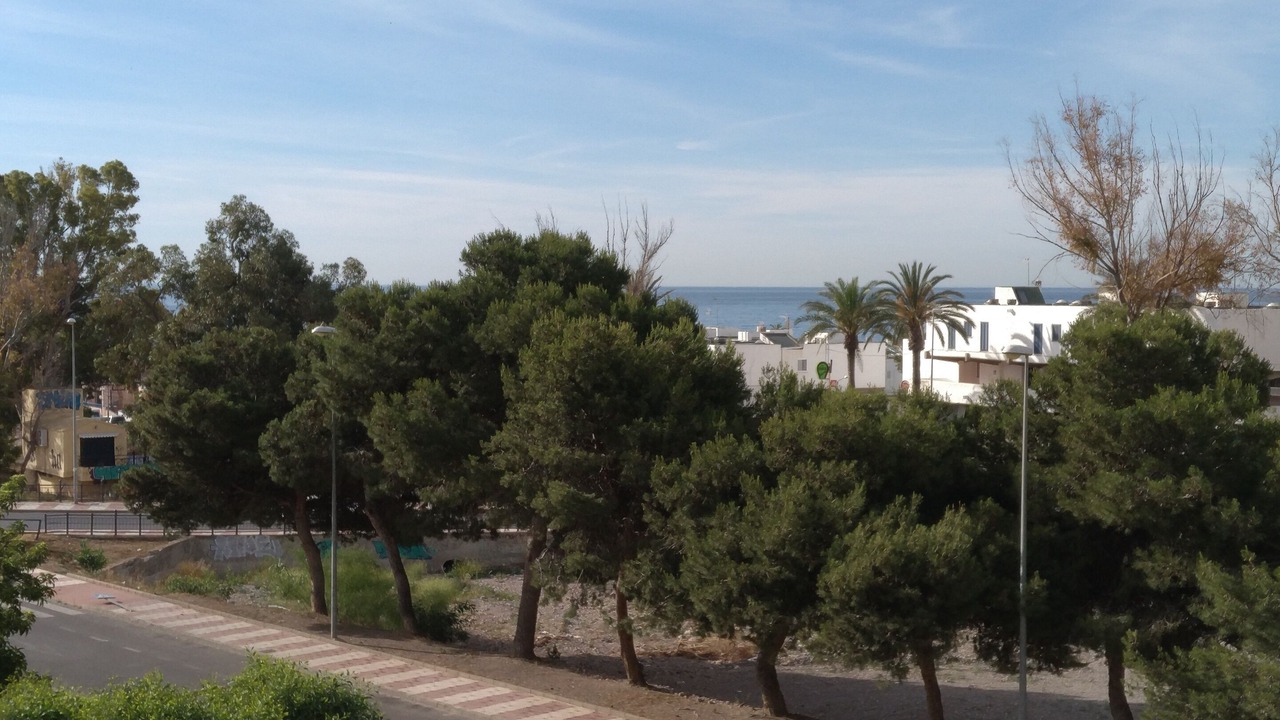 Photo of Others in Aguadulce