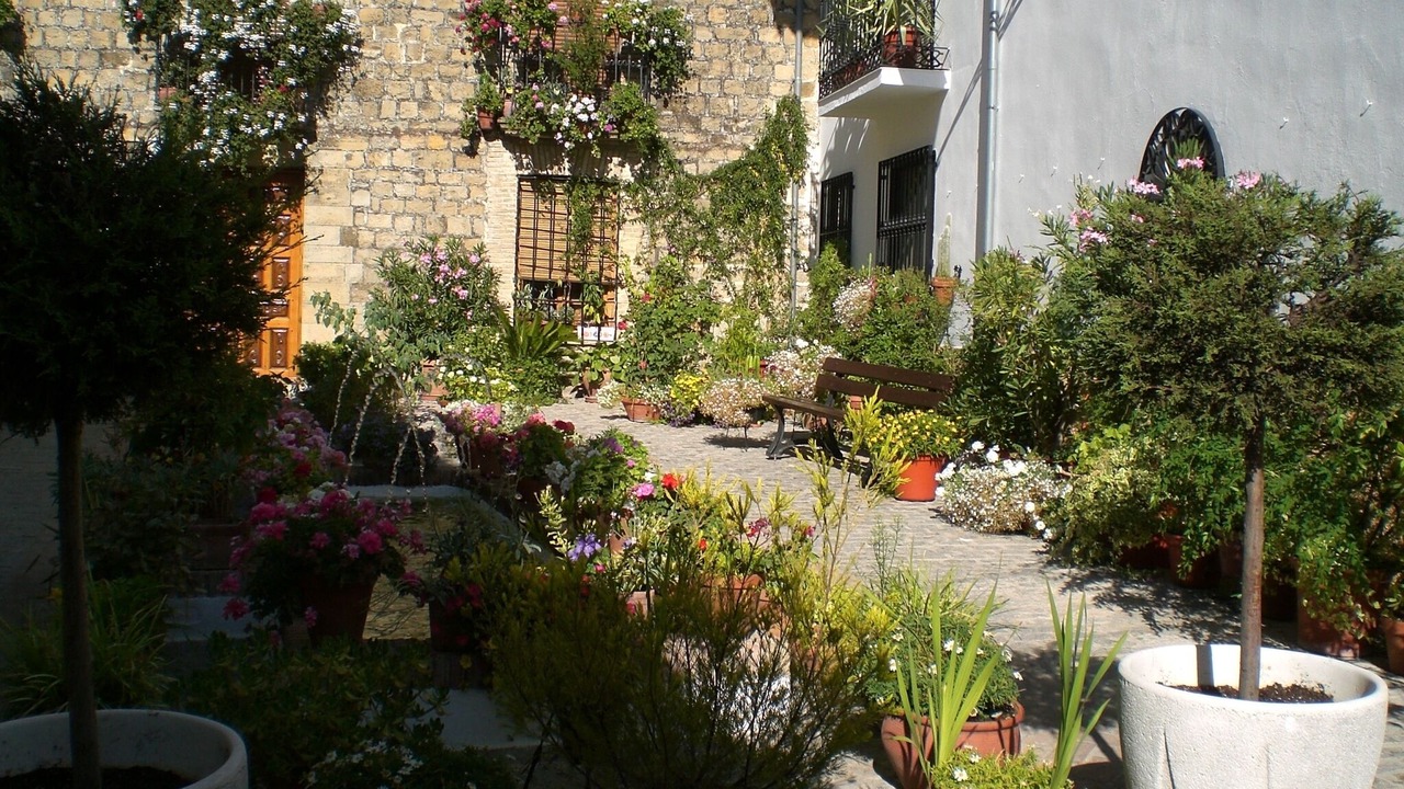 Photo of Outdoor in Prados de Armijo