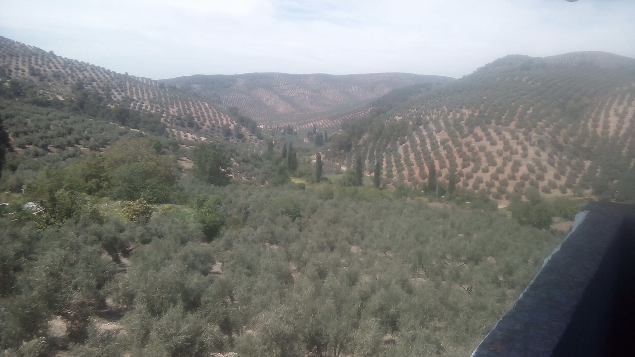 Photo of Others in Prados de Armijo