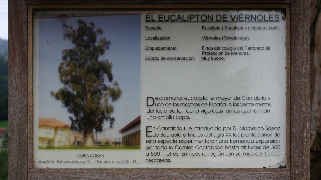 Photo of Outdoor in Viernoles