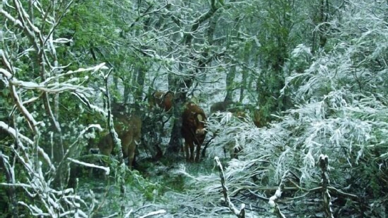 Photo of Outdoor in San Salvador de Cantamuda