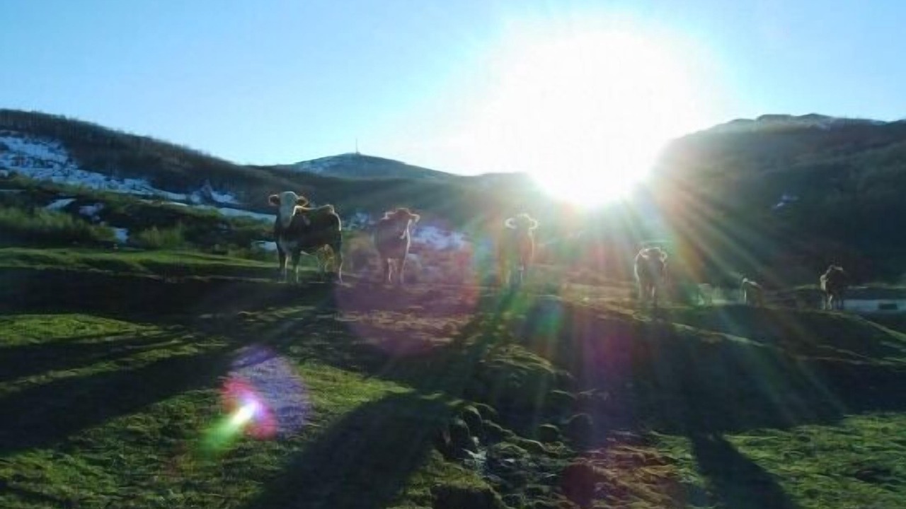 Photo of Outdoor in San Salvador de Cantamuda