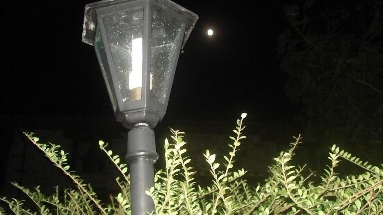 Photo of Outdoor in Sinariega
