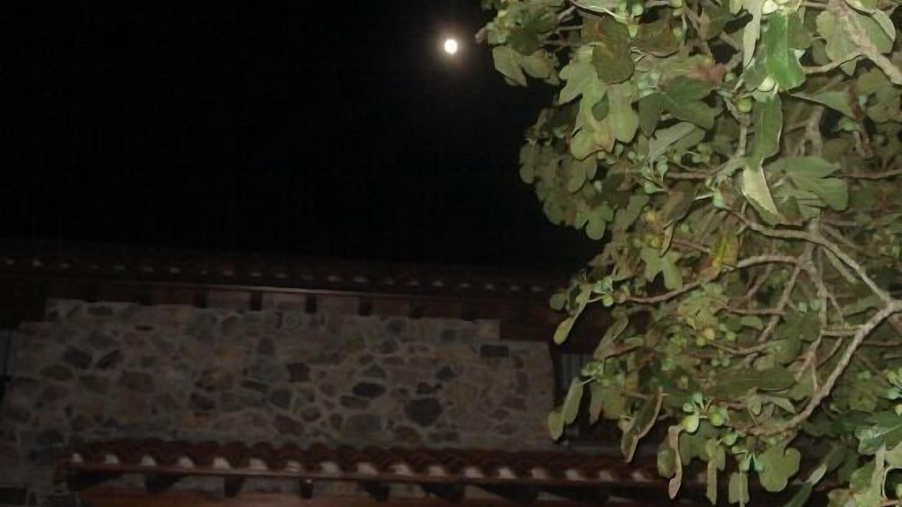 Photo of Outdoor in Sinariega